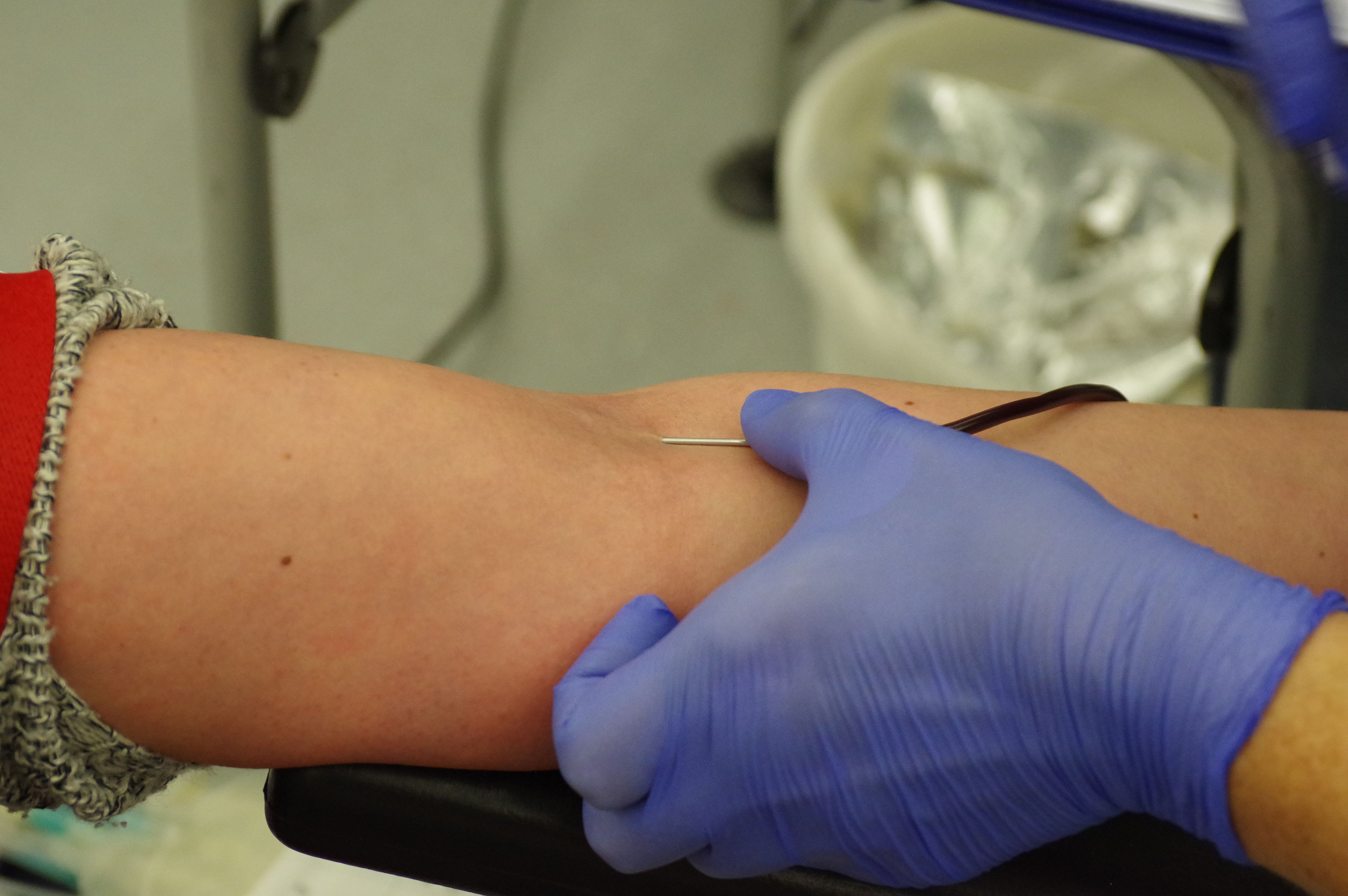 Venenpunktion während einer Blutspende